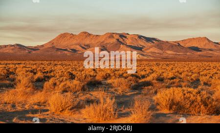 Sonnenuntergang In Der Kalifornischen Mojave-Wüste. Vereinigte Staaten von Amerika. Stockfoto