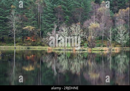 Herbstfarben auf Bäumen spiegeln sich in einem Loch an in Glencoe, Lochaber, Schottland, Großbritannien Stockfoto