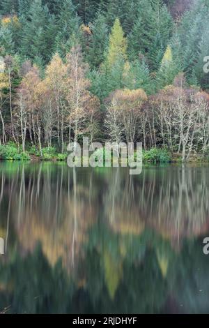 Herbstfarben auf Bäumen spiegeln sich in einem Loch an in Glencoe, Lochaber, Schottland, Großbritannien Stockfoto