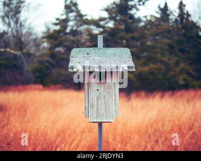 Vogelhaus im Feld mit Herbsthintergrund Stockfoto