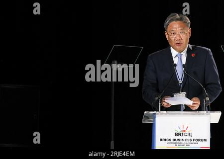Wang Wentao, Handelsminister der Volksrepublik China, spricht im Namen von Xi Jinping, Präsident von China, am ersten Tag des BRICS-Gipfels im Sandton Convention Center am Dienstag, den 22. August 2023, in Johannesburg, Südafrika, an. BRICS, bestehend aus Brasilien, Russland, Indien, China, und Südafrika ist eine Gruppe großer Schwellenländer, die zusammentreffen, um praktische Zusammenarbeit und Solidarität zu erörtern, um gemeinsame Interessen und gemeinsame Werte zu finden. 23 weitere Länder haben sich um den Beitritt zum BRICS beworben, 16 weitere Länder haben Interesse bekundet. Der dreitägige Gipfel wird beginnen Stockfoto