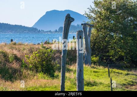 Feuchtgebiete entlang der Padilla Bay im Skagit County, Washington Stockfoto