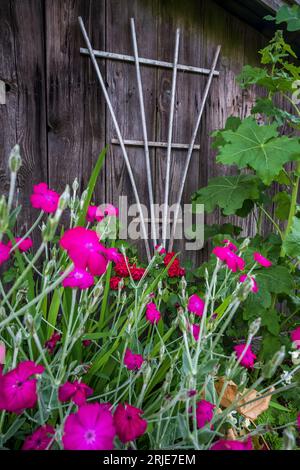 Historische Stewart Farm, Surrey, British Columbia, Kanada Stockfoto