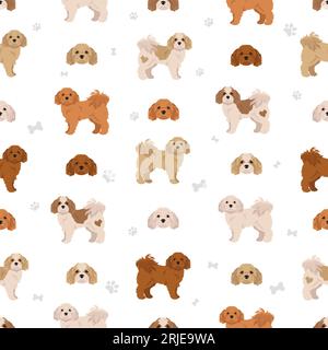 Nahtloses Cavachon-Muster. Cavalier King Charles Spaniel Bichon Frise Mix. Verschiedene Lackfarben. Vektorillustration Stock Vektor