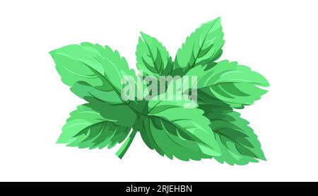 Mint in flachem Design auf weißem Hintergrund. Stock Vektor