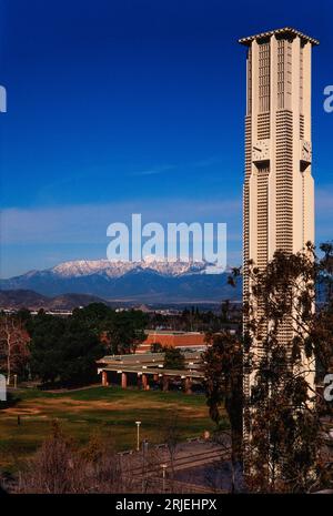 University of California - Riverside Campus. Stockfoto