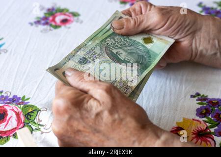 Eine alte Frau hält 100 polnische Zloty-Banknoten in ihren Händen, polnisches Geld, Konzept, Pension, Zulage, Hilfe für ältere Menschen Stockfoto
