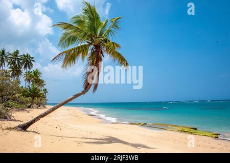 Luquillo Beach Luquillo, Puerto Rico, USA, Karibik Stockfoto