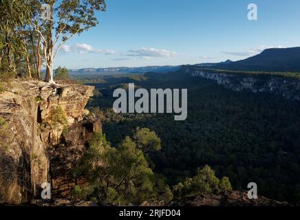 Blick von der Spitze des Carnarvon National Park in der Bioregion Southern Brigalow Belt in der Maranoa Region in Central Queensland Australia, tw Stockfoto