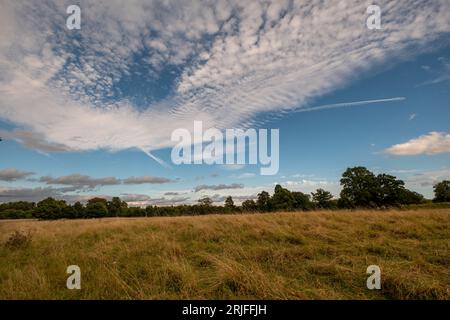 Castle Meadows, Wallingford Stockfoto