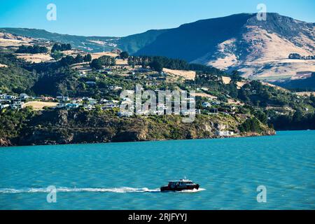 Cass Bay, Lyttelton Harbour, Banks Peninsula, Canterbury, South Island, Neuseeland Stockfoto