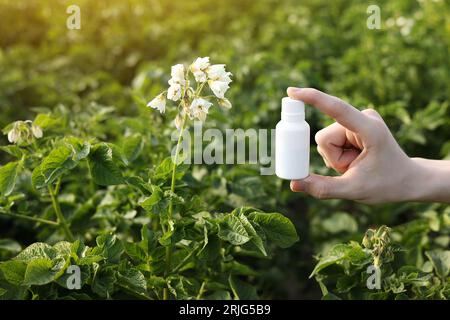 Probleme und Lösung der Gartensaison. Zugeschnittene Fotohand des Bauern hält weiße Flasche mit Modell für Gift, Pestizidflüssigkeit von Pflanzenkrankheiten und Stockfoto