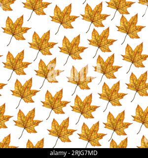 Nahtloses Muster mit hellem orangen Herbstblatt eines Ahornbaums, handgezeichnete Aquarellillustration isoliert auf weißem Hintergrund. Stockfoto