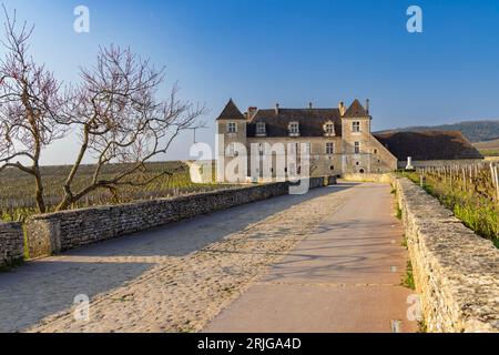 Schloss Clos de Vougeot, Cote de Nuits, Burgund, Frankreich Stockfoto