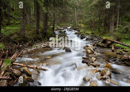 Der Kaskadenfluss in einem üppigen Bergwald im Frühling Stockfoto