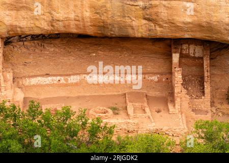 Dance Plaza at Fire Temple in Nische in Chapin Mesa, Blick von Mesa Top Loop, Mesa Verde National Park, Colorado, USA Stockfoto