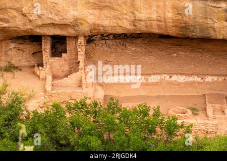 Dance Plaza at Fire Temple in Nische in Chapin Mesa, Blick von Mesa Top Loop, Mesa Verde National Park, Colorado, USA Stockfoto