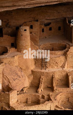 Cliff Palace in Alkove in Chapin Mesa, Blick vom Cliff Palace Overlook, Mesa Verde National Park, Colorado, USA Stockfoto