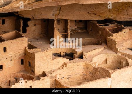 Cliff Palace in Alkove in Chapin Mesa, Blick vom Cliff Palace Overlook, Mesa Verde National Park, Colorado, USA Stockfoto