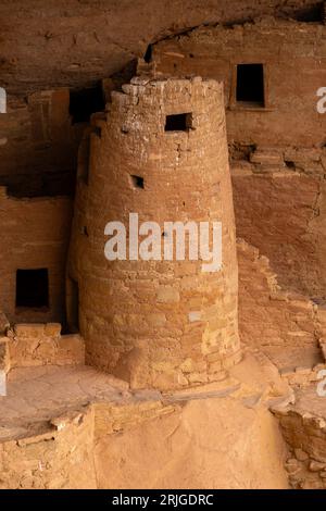 Cliff Palace in Alkove in Chapin Mesa, Blick vom Cliff Palace Overlook, Mesa Verde National Park, Colorado, USA Stockfoto