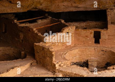 Cliff Palace in Alkove in Chapin Mesa, Blick vom Cliff Palace Overlook, Mesa Verde National Park, Colorado, USA Stockfoto