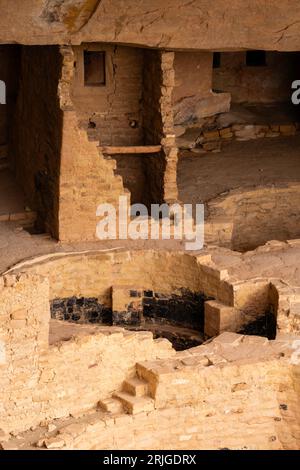 Cliff Palace in Alkove in Chapin Mesa, Blick vom Cliff Palace Overlook, Mesa Verde National Park, Colorado, USA Stockfoto