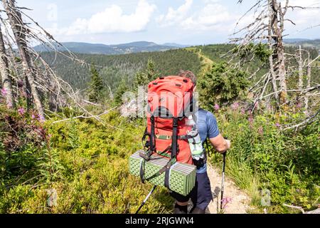 Bratislava, Presov, Slowakei. August 2023. Ein Wanderer wird auf den Wegen der Niederen Tatra (Nizke Tatry Bergkette in der Zentralslowakei gesehen. (Bild: © Dominika Zarzycka/SOPA Images via ZUMA Press Wire) NUR REDAKTIONELLE VERWENDUNG! Nicht für kommerzielle ZWECKE! Stockfoto