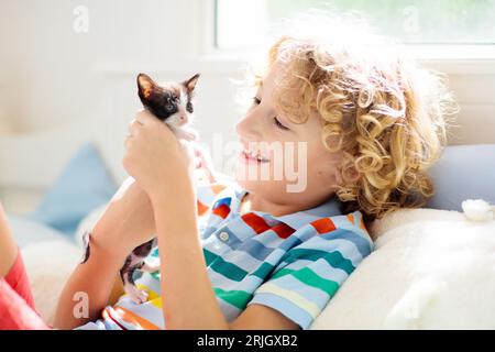 Kind spielt mit Baby Katze. Kleiner Junge, der neugeborenes Kätzchen ansieht. Kinder und Tiere Freundschaft, Liebe und Fürsorge. Kinder spielen mit Haustier. Stockfoto