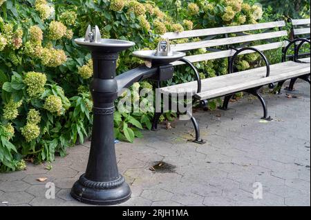 Wunderschöner antiker Metallbrunnen im Battery Park New York City vor einem üppigen Hortensiengarten neben einer leeren Parkbank. Spac kopieren Stockfoto