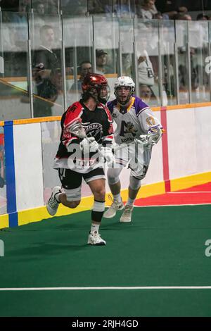 Edmonton Miners (schwarz/orange) Alex Lemiuex (66) arbeitet um Coquitlam Adanacs (weiß gelb) Remo Schenato (17) in der Minto Cup Day 2 Action zwischen Edmonton Miners und Coquitlam Adanacs in der Bill hinter Arena. Endstand: Edmonton Miners vs Coquitlam Adanacs, 11:15 der Minto Cup ist die nationale Junior A Box Lacrosse Meisterschaft. Der Minto Cup wurde 1901 von Sir Gilbert John Murray Kynmond Elliot gestiftet und 1937 offiziell zur Junior A National Box Lacrosse Championship gekürt. Stockfoto