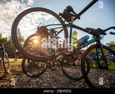 Fahrräder auf einem Fahrradträger bei einer Radrallye in New Jersey Stockfoto