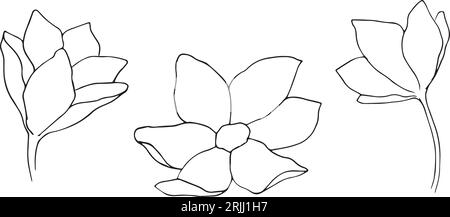 Kontur mit schwarzer Tinte, lineare Skizzensilhouette. Blumensymbol. Vektor einfache flache Grafik Hand gezeichnete Illustration. Isoliertes Objekt auf weißem Hintergrund. Stock Vektor