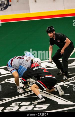 Edmonton, Kanada. August 2023. Calgary Mountaineers (blau/grau) Lukas Olsson (2) arbeitet um Burlingtons (schwarz/rot) Hayden Hiltz (26) in der Minto Cup Day 2 Action zwischen Calgary Mountaineers und den Burlington Blaze in der Bill hinter Arena.Calgary Mountaineers vs Burlington Blaze, 6:8 Credit: SOPA Images Limited/Alamy Live News Stockfoto