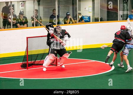 Edmonton, Kanada. August 2023. Burlington Blaze Torwart (schwarz/rot) Deacon Knott (30) macht in der Minto Cup Day 2 Action zwischen Calgary Mountaineers und den Burlington Blaze in der Bill hinter Arena Halt. Calgary Mountaineers vs Burlington Blaze, 6:8 (Foto: Ron Palmer/SOPA Images/SIPA USA) Credit: SIPA USA/Alamy Live News Stockfoto