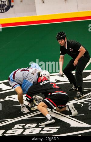 Edmonton, Kanada. August 2023. Calgary Mountaineers (blau/grau) Lukas Olsson (2) arbeitet um Burlingtons (schwarz/rot) Hayden Hiltz (26) in der Minto Cup Day 2 Action zwischen Calgary Mountaineers und den Burlington Blaze in der Bill hinter Arena.Calgary Mountaineers vs Burlington Blaze, 6:8 (Foto: Ron Palmer/SOPA Images/SIPA USA) Credit: SIPA Live News/Alamy Stockfoto