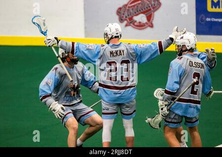 Edmonton, Kanada. August 2023. Calgary Mountaineers (blau/grau) will McKay (23) feiert sein Tor erneut die Burlington Blaze im Minto Cup Day 2 Action zwischen Calgary Mountaineers und den Burlington Blaze in der Bill hinter Arena. Calgary Mountaineers vs Burlington Blaze, 6:8 (Foto: Ron Palmer/SOPA Images/SIPA USA) Credit: SIPA/Alamy Live News Stockfoto