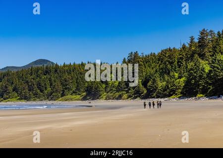 Fünf junge Backpacker, die zurück zum Ausgangspunkt am Shi Shi Beach, Olympic National Park, Washington State, USA gehen [keine Modellveröffentlichungen; redaktionelle Läuse Stockfoto