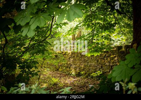 Eine archaische Steinbrücke, die einen kaskadierenden Bach und das umgebende Herbstlaub in einem bewaldeten Gebiet überspannt Stockfoto