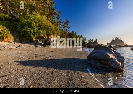 Strand südlich von Point of Arches, Olympic National Park, Washington State, USA Stockfoto