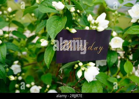 Postkarte, Internet-Banner, flach lag mit einem Geburtstagsgruß, mit der Aufschrift - alles gute zum Geburtstag Stockfoto