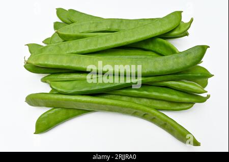 Schwertbohnen mit frischem Gemüse auf weißem Hintergrund Stockfoto