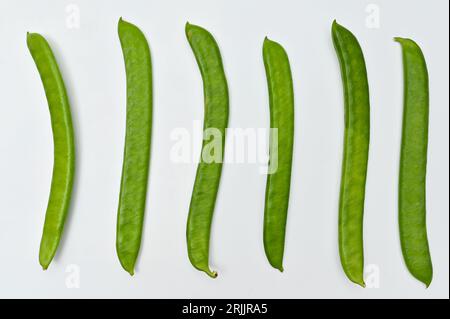 Schwertbohnen mit frischem Gemüse auf weißem Hintergrund Stockfoto