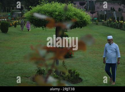 August 23,2023, Srinagar Kashmir, India : People jogging in the Nishat garden during early morning in Srinagar. On August 23,2023 in Srinagar Kashmir, Stock Photo