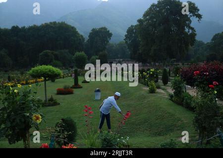 August 23,2023, Srinagar Kashmir, India : A man exercises in the Nishat Garden during early morning in Srinagar. On August 23,2023 in Srinagar Kashmir Stock Photo