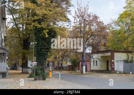 Chisinau, Moldawien - 30. Oktober 2022 Blick auf die Straße in Chisinau mit den gefallenen Blättern auf dem Bürgersteig im Herbst. Stockfoto