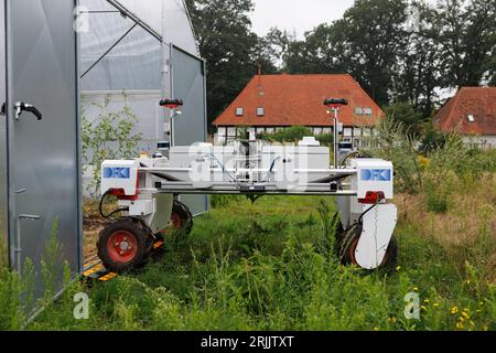 Bohmte, Deutschland. August 2023. Ansicht eines autonom steuerbaren Roboters vor einem Gewächshaus. Das Deutsche Forschungszentrum für Künstliche Intelligenz (DFKI) betreibt Forschung und Entwicklung auf dem Gebiet der Agrarrobotik. Das DFKI testet auf einem ehemaligen Golfplatz bei Bohmte künstliche Intelligenz für die Landwirtschaft. (An dpa „Ein Trainingscamp für Roboter in der Landwirtschaft“) Credit: Frisch Gentsch/dpa/Alamy Live News Stockfoto