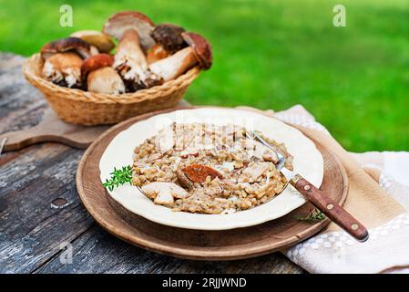 Delicious mushrooms risotto dressed with parmesan cheese and herbs. Basket with porcini mushrooms ingredients outdoors on sunny day Stock Photo