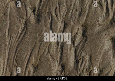 Muster im Sand, geeignet für Werbung oder Reisebroschüre Stockfoto