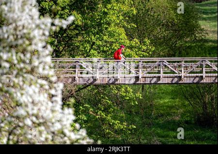 Engure, Lettland - 13. Mai 2023: Ein Radfahrer auf einer Holzbrücke über eine Schlucht. Stockfoto