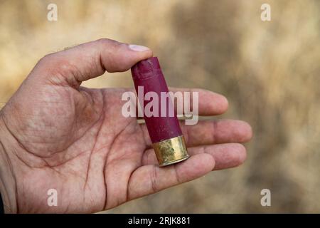 12 Gauge Jagdkartusche mit der Hand Stockfoto